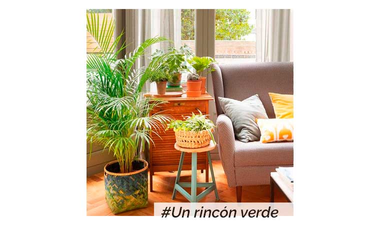 Ideas para darle un nuevo aire a tu salón comedor - Rincón verde