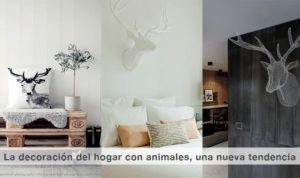 La decoración del hogar con animales, una nueva tendencia - dormitorio infantil